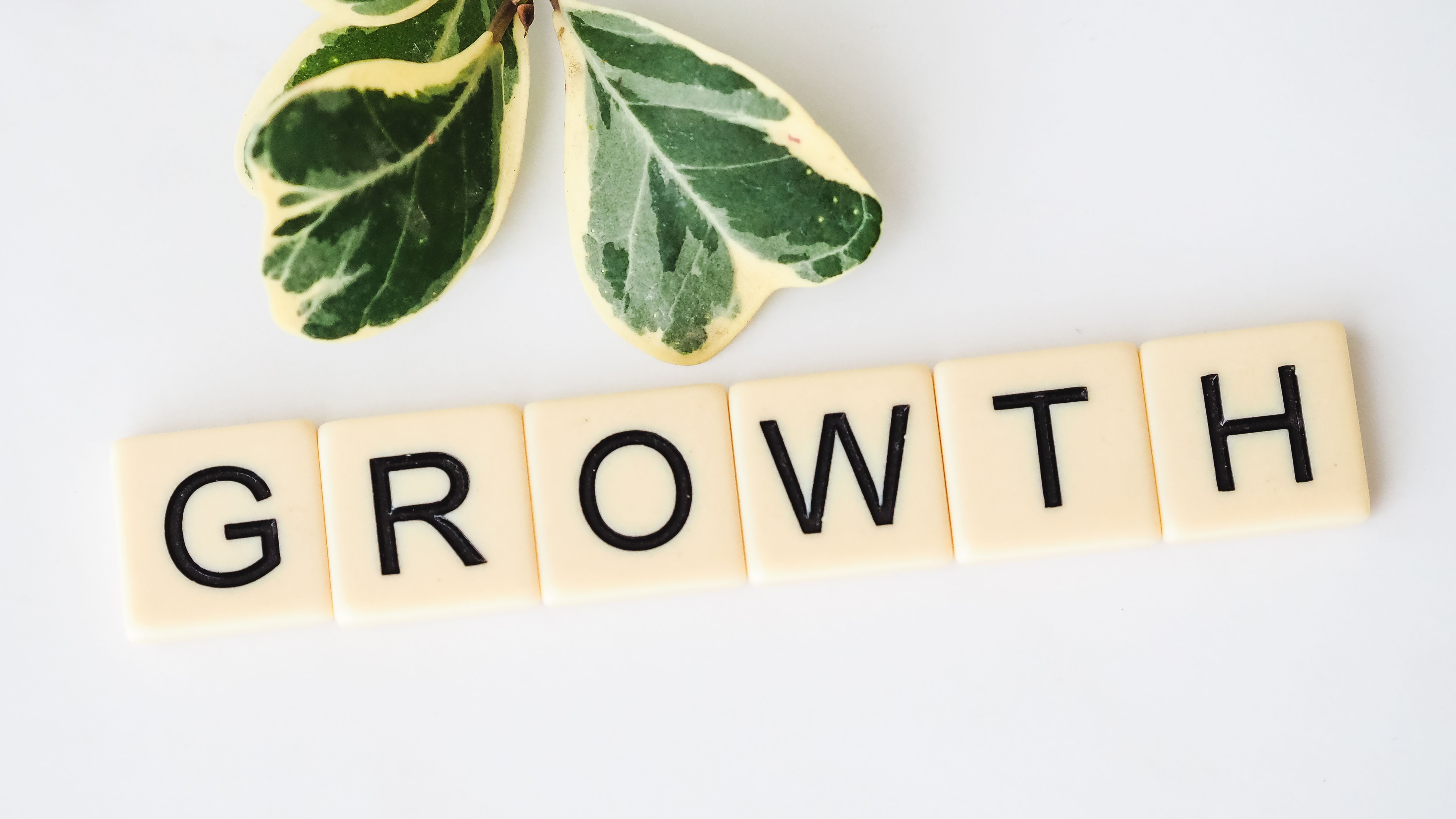 Economic Empowerment